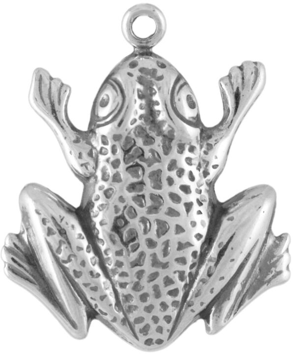 ACC3385_lg.jpg