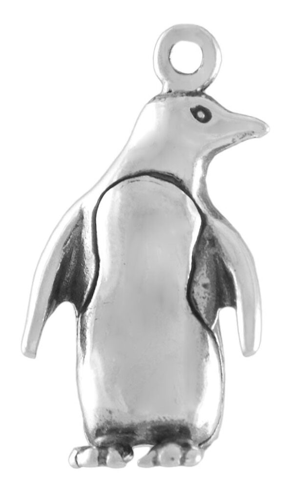 ACC43740_lg.jpg