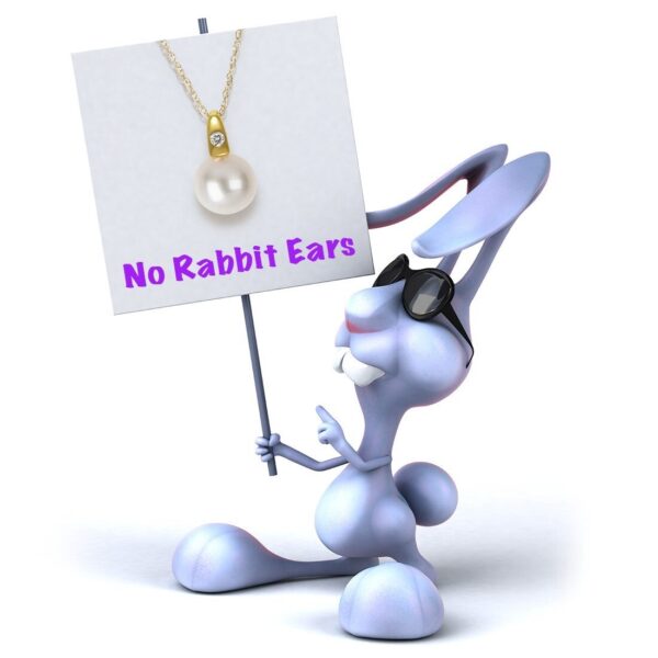 Aneal-Bunny_lg-1.jpg