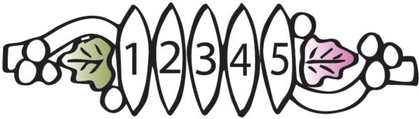 G20927-5-GN_lg.jpg