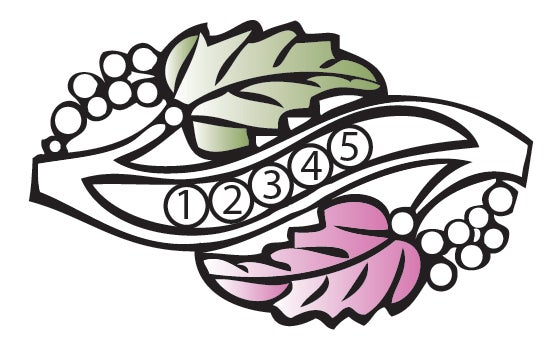 MR926-5-SY_lg.jpg - TRJ Concepts / Simply Diamonds MR926-5-SY_lg.jpg
