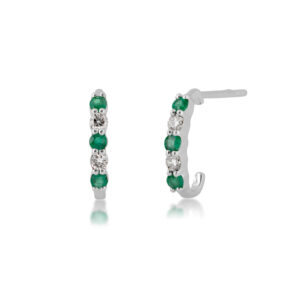 Fashion Earrings