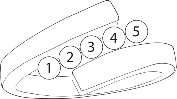 FR17-5_lg-1jpg