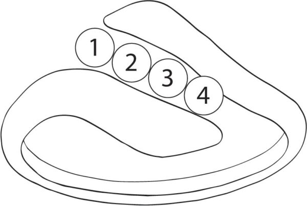 FR18-4_lg-2jpg