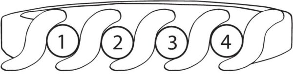 FR22-4_lg-1jpg