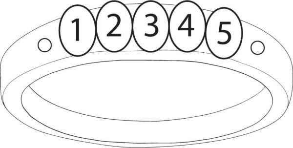 FR36D-5_lg-1jpg