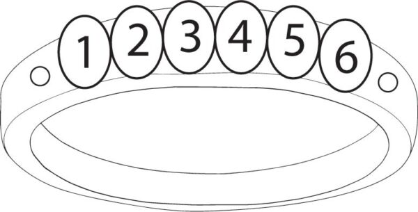 FR36D-6_lg-1jpg