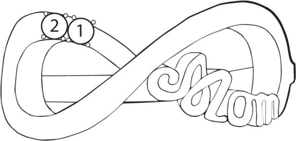 FR52-2_lg-1jpg