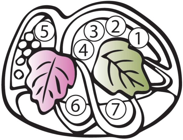 MRC1470-7-GN_lgjpg